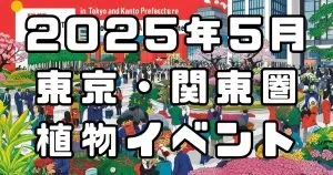 【保存版】多肉植物 イベント 関東：絶対行くべき人気イベント